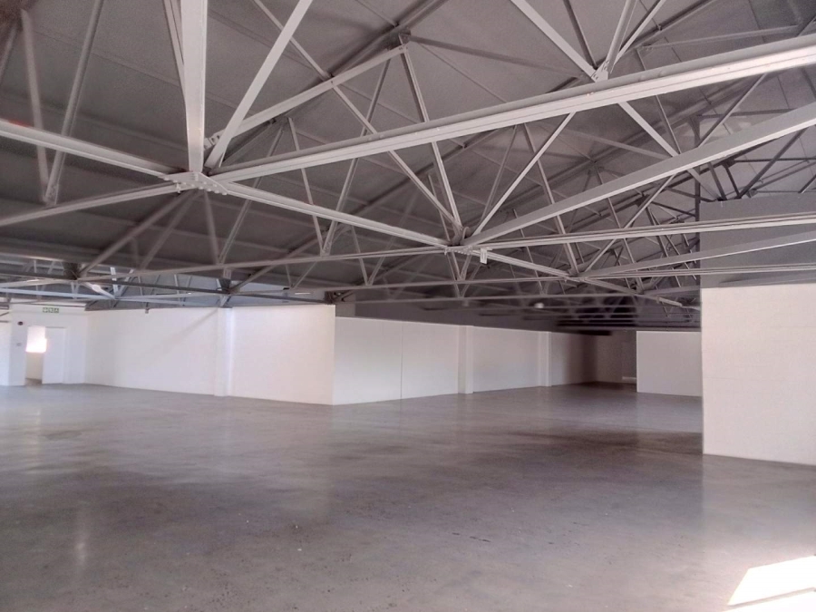 To Let commercial Property for Rent in Diep River Western Cape